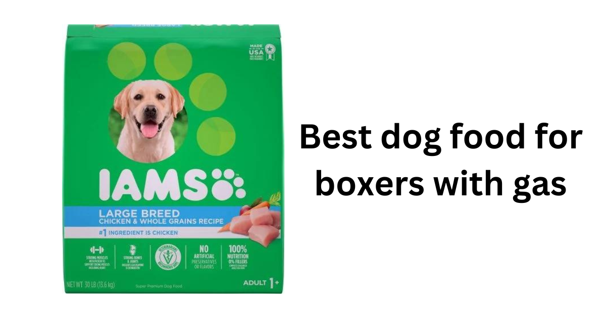 Best Dog Food for Boxers With Gas