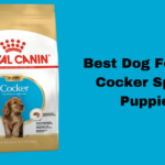 Best Dog Food for Cocker Spaniel Puppies