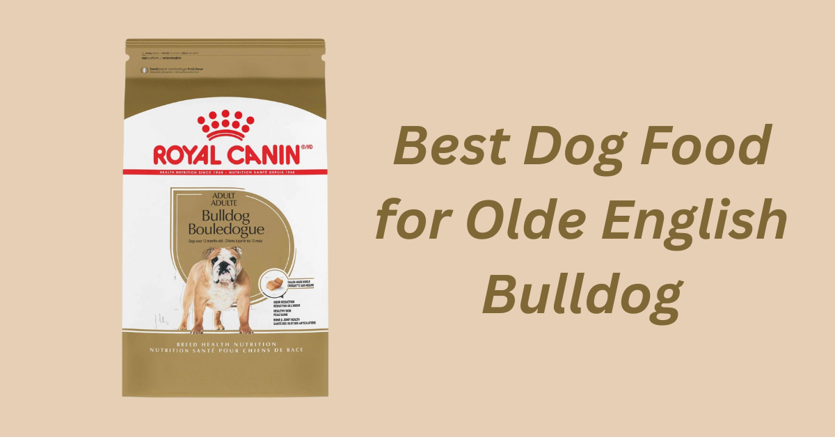 Best Dog Food for Olde English Bulldog