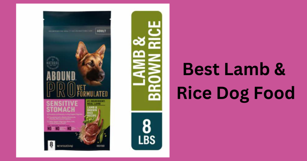 Best Lamb & Rice Dog Food