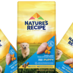 Grain Free No Chicken Dog Food