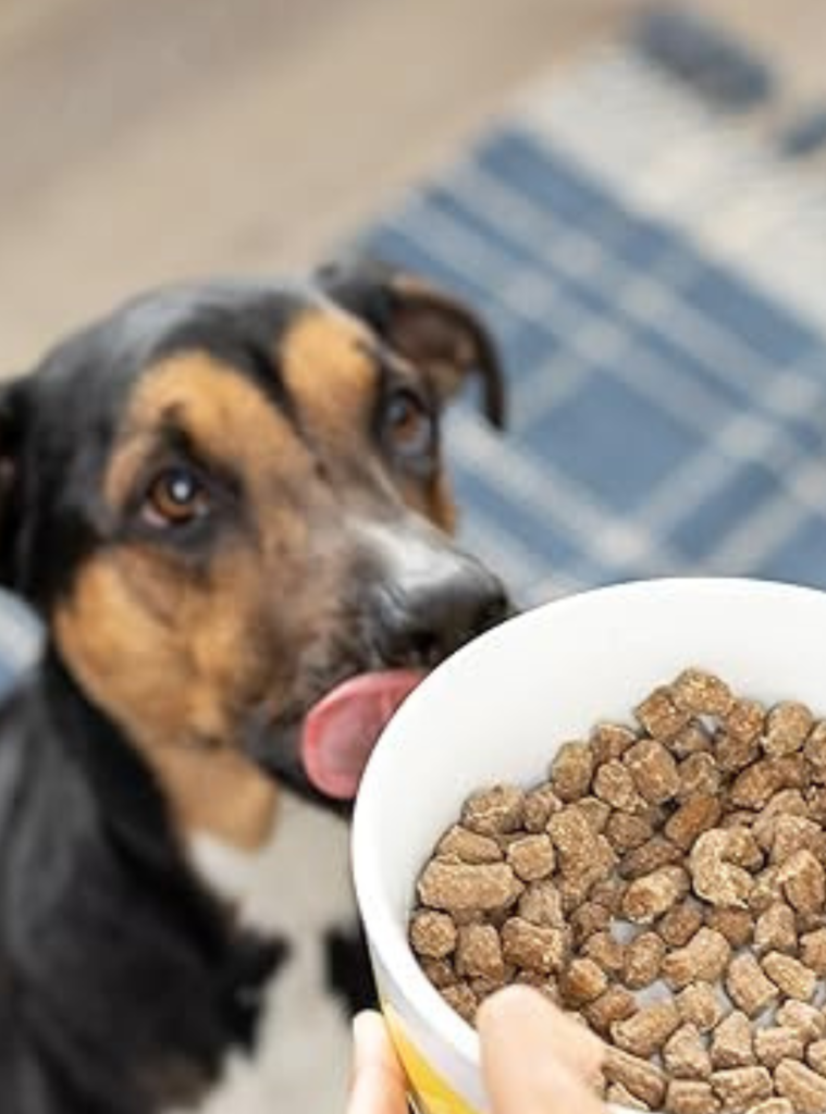 Is Open Nature Dog Food Good