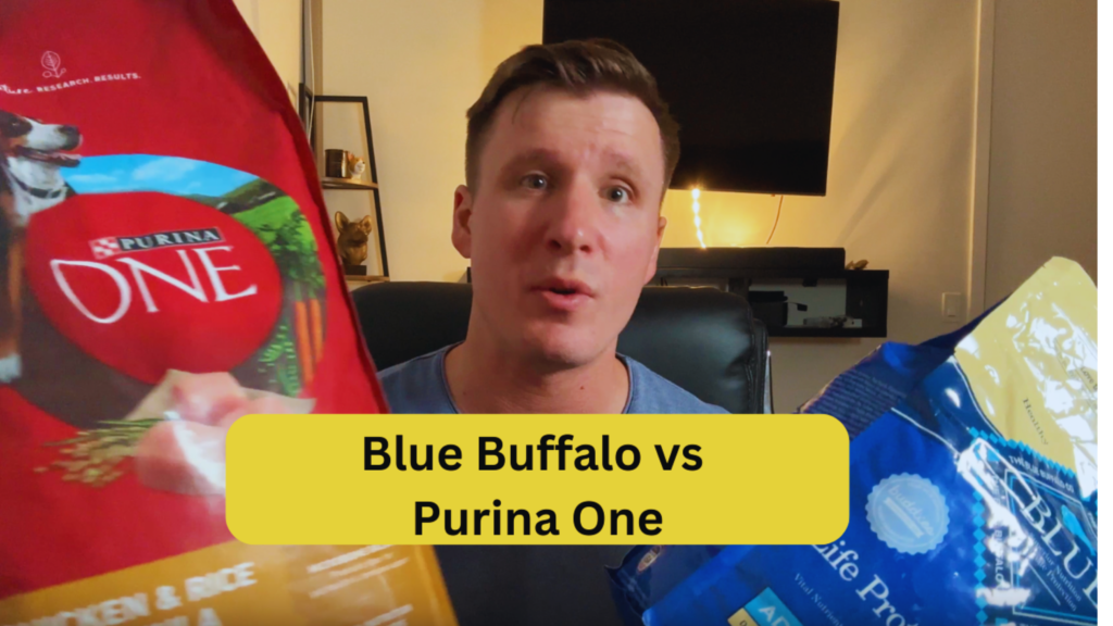 Purina One Vs Blue Buffalo